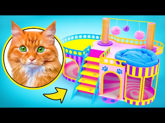 ¡Casa para gatos DIY de dos pisos que le encantará a tu peludo amigo! 😻🏡