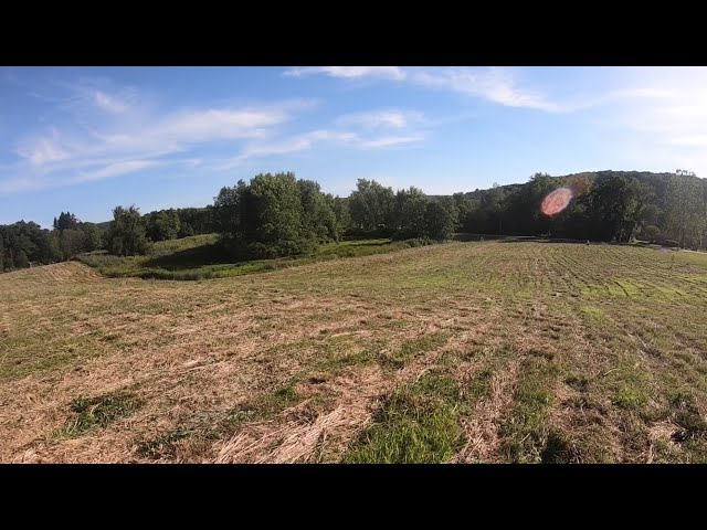 #28 Kioti CK3510 Brush Hogging and Hanging Trail Cams