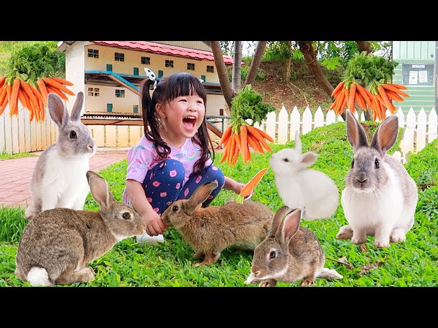 Feeding Rabbit Horse Pony Alpaca Sheep Hamsters in the Mini Zoo