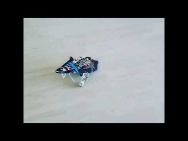 Home made crazy arduino robot