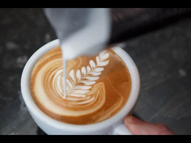 ASMR - Villa Java Coffee day