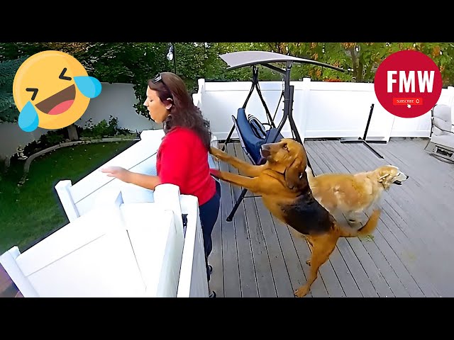 Funny & Hilarious People's Life 😂 #306 | Instant Regret Fails 2025 - Try Not To Laugh Challenge