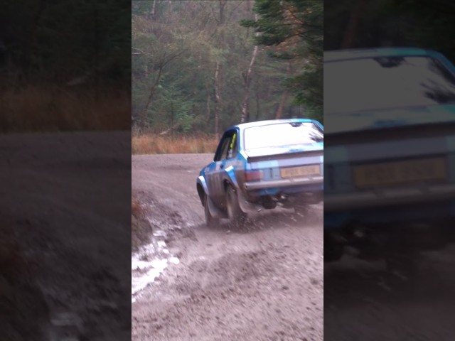 Mk2 Escort on the attack! #mk2escort #MaltonForestRally #MaltonRally #Escort