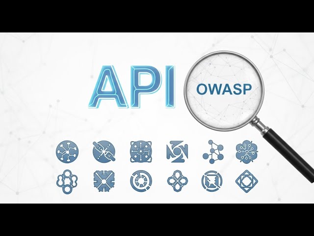 OWASP Top 10  API Security