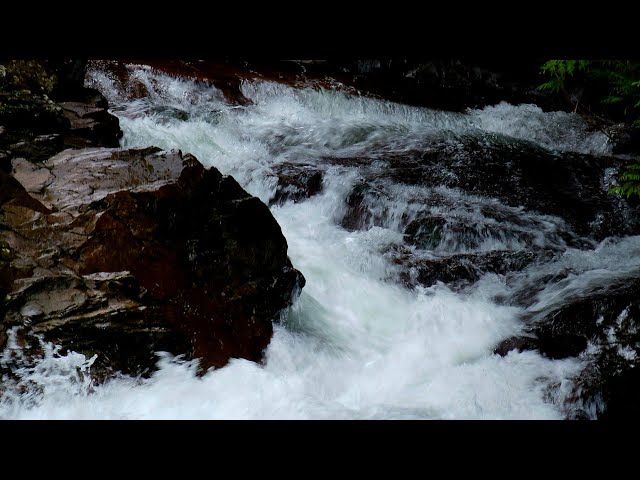 🎶 The Trail to Thunder | Weeks Falls Full Immersion