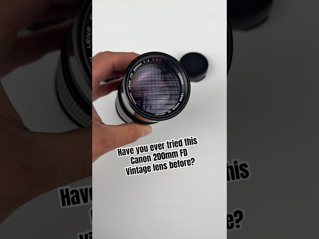 The BEST Budget Canon Telephoto Vintage Lens
