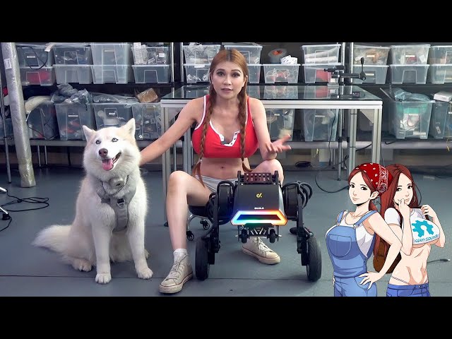 Lockdown Errands with the Diablo Robot!