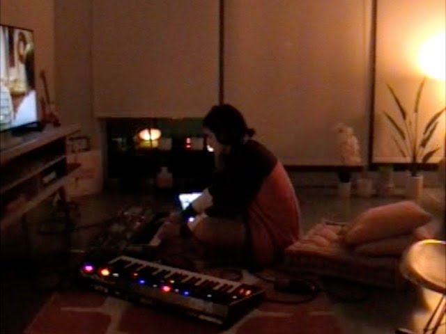 playing my synths as the sun sets in LA [ob-6, udo super 6, and yamaha dgx-670]