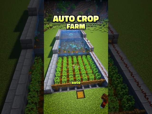 Minecraft Auto Crop Farm 🌾⚙️ | Easy Harvesting System in Minecraft! #minecraft