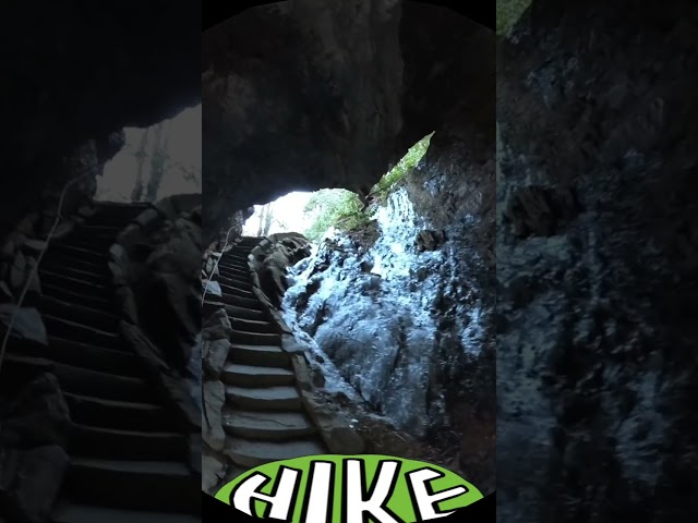 Tennessee's highest peak, Mt. LeConte, Great Smoky Mountains National Park, TN (Hike 360° VR Video)