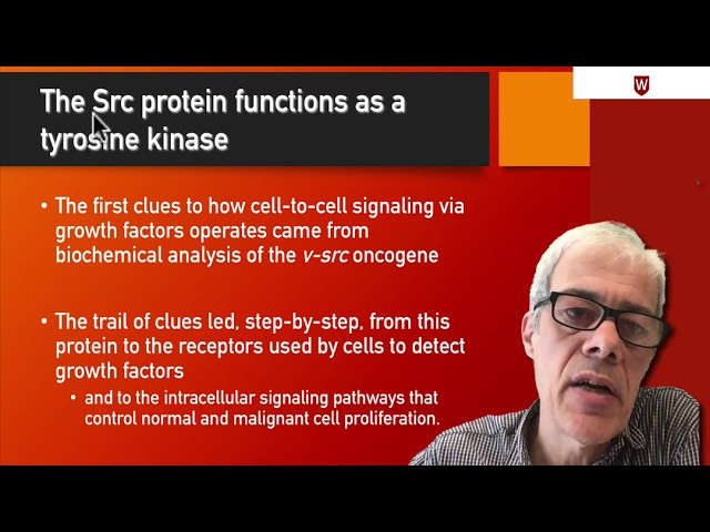 2.7 The Src protein