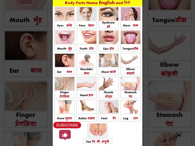 Body Parts Name In English and Hindi//part of 👅👁️//मानव अंगों के नाम हिन्दी मे