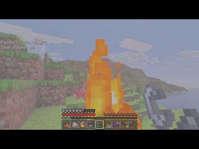 A nnather Minecraft video