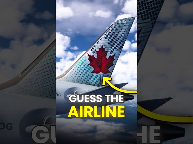 Guess the Airline from the Tail | Aviation Quiz