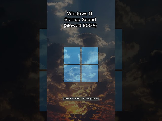 Why Microsoft 😂🐵🐒