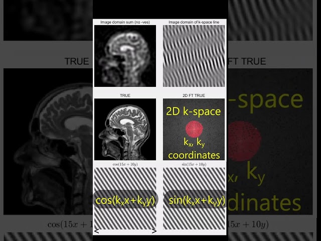 Understand 2D k-space, Fourier Synthesis & MRI!