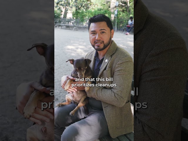 We’re tired of this 🐶💩, so the NYC Council is introducing the SCOOP ACT!