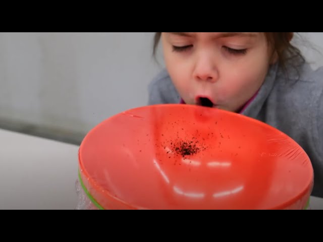 How to SEE sound! | STEM Activity