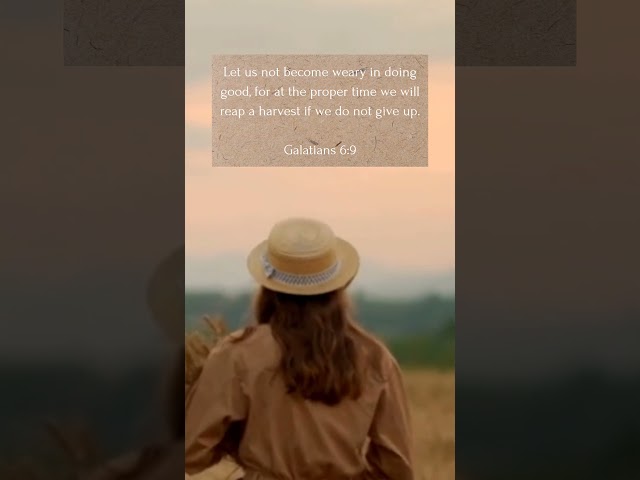 Do Not Give Up | Reap a Harvest (Galatians 6)