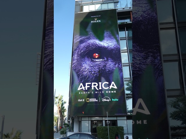 Africa Earth's Wild Home Billboard Sunset Blvd Los Angeles California September 24, 2026