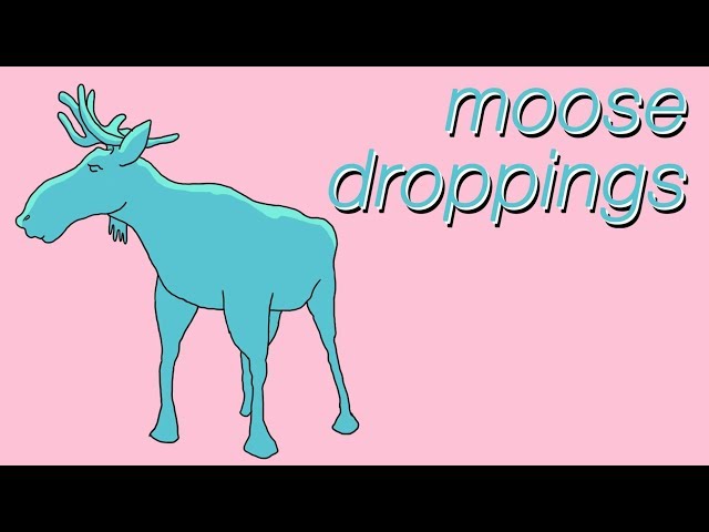 Moose Droppings - Animation