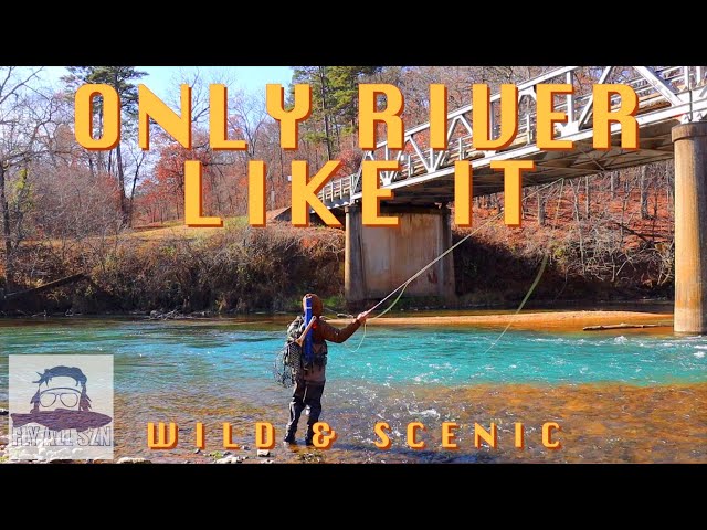 FLY FISHING MISSOURI | THE MOST BEAUTIFUL TROUT RIVER | HOW IS THIS THE ONLY ONE?