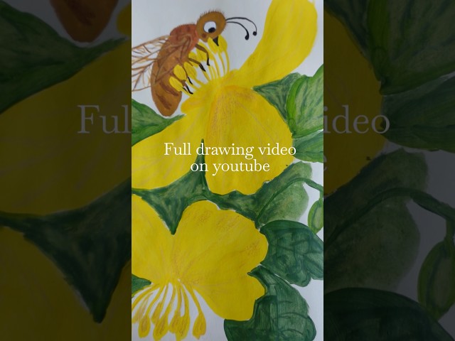 Sketching wild flowers and a bee 🐝🌼