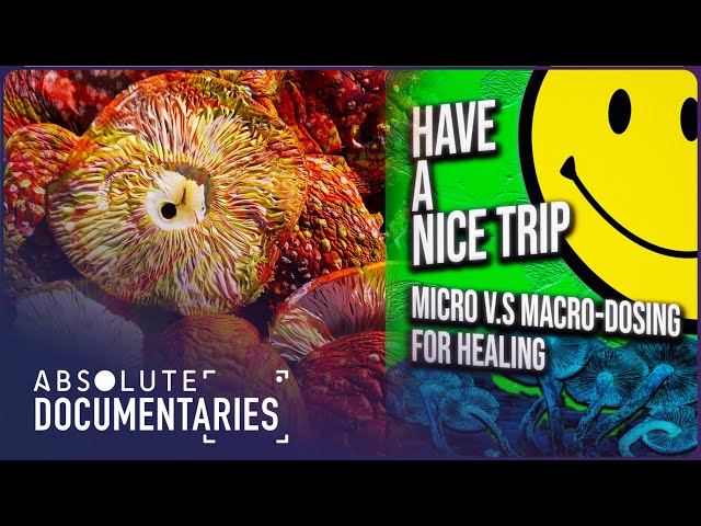 Psychedelics Unveiled: Experts Debunk the Mystery of Micro vs. Macro-Dosing