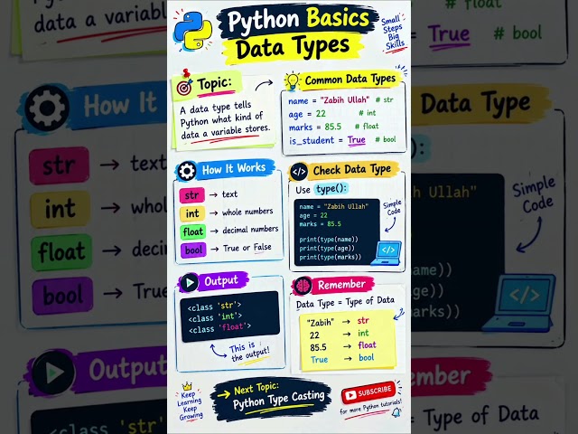 Python Data Types Explained  | Beginners