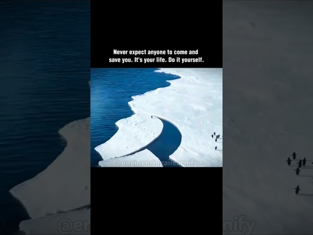 Never give up #motivation #mindset #success #goals #shorts #ytshorts #viral #trending #yt