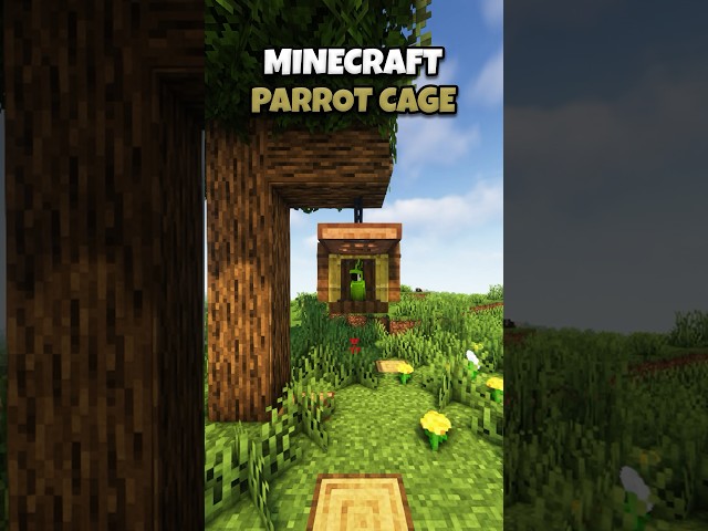 🦜  Minecraft Realistic Parrot Cage Tutorial!