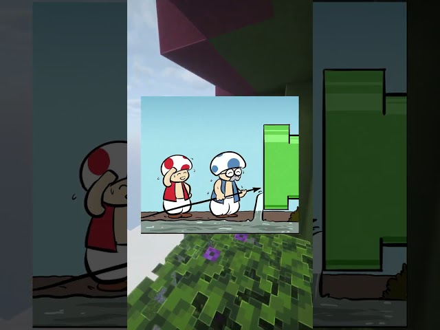 TOAD SAVES THE DAY..