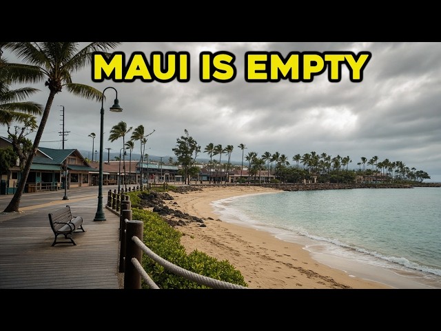 Maui Is Losing Its Tourists — And the Island Still Hasn't Recovered