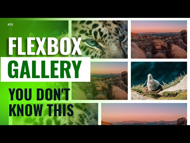 How To Create Flexbox Gallery | Malayalam Tutorial | Web Diary