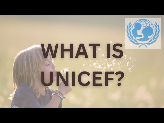WHAT IS UNICEF?