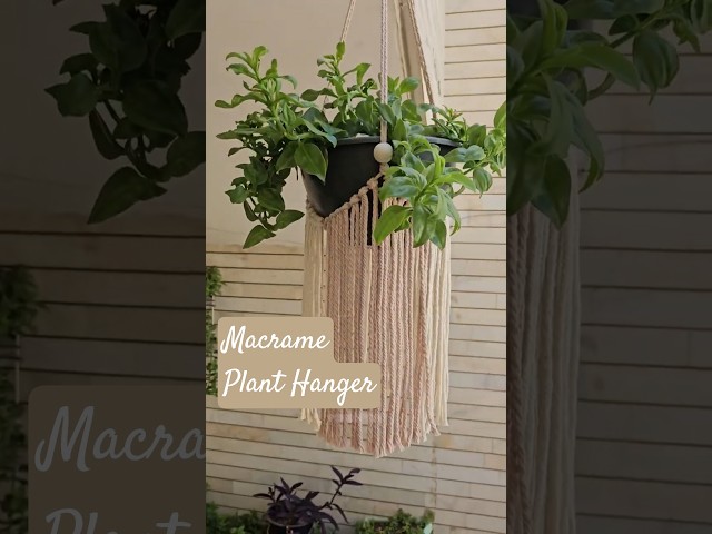 easy Macrame Plant Hanger👇🏻 #macrametutorial #diy #handmade #planthanger #plants #hanger #bohostyle