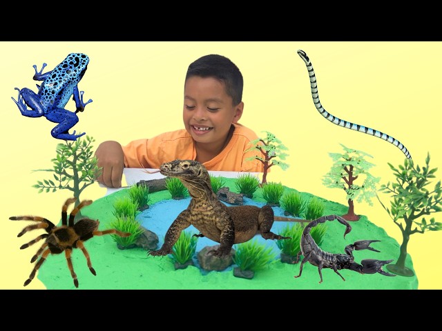 Venemous Poison Animals Diorama | Learn Dangerous Animals