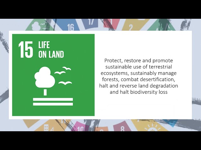 UN Sustainable Development Goals #SDG15