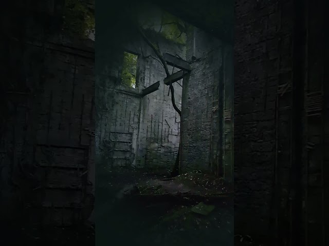 New chapter coming 👻 2026 Is just around the corner  👻    #paranormal #paranormalnetflix #fypシ