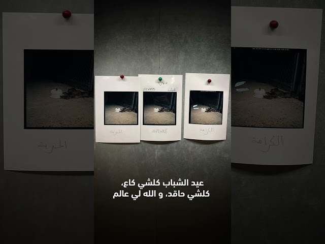 #عيد_الشباب_كلشي_شاب
