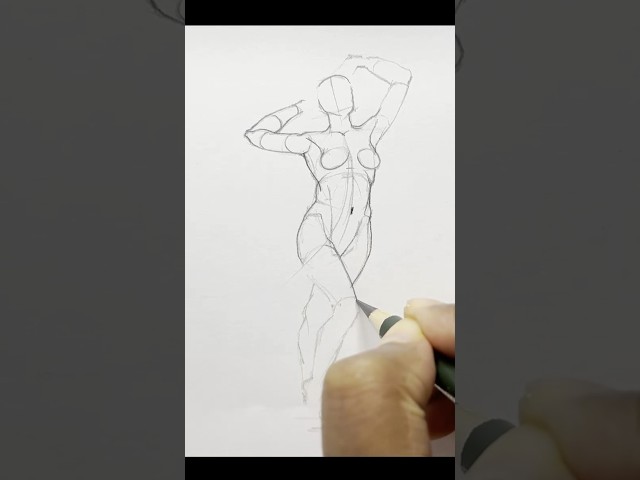 Female Anatomy Drawing Study (Steps for all) #drawing