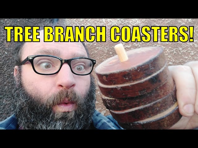 Wood tree branch coasters that are easy to make and will protect your furniture.