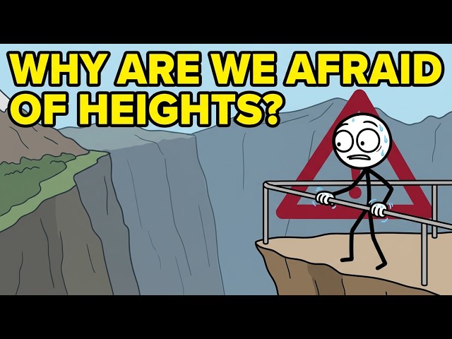 Why Humans Are Afraid of Heights — The Ancient Fear Inside Your Brain