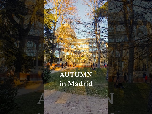 Things I love doing in Madrid during Autumn 🍂 #madrid #autumn #travel