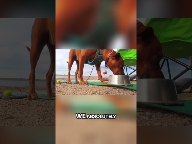 FREE Vanlife Camping at Scenic Lake Hattie, WY