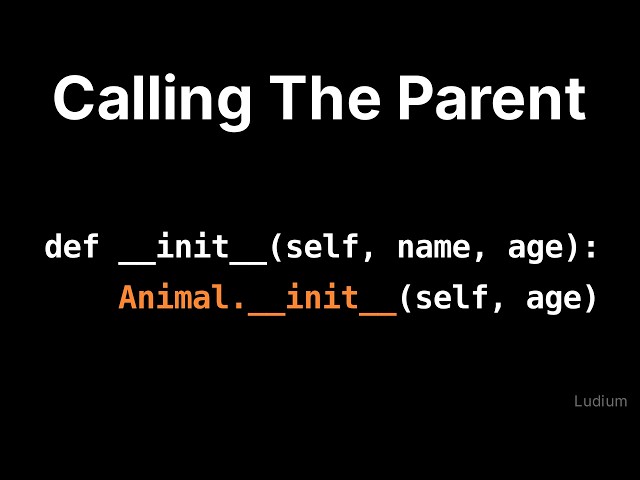 Introduction to CS | 19.7: Overriding __init__: Person Calls Animal.__init__ By Name