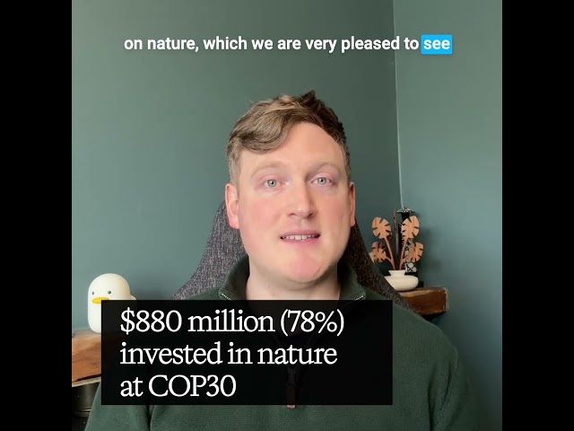 What happened at COP30