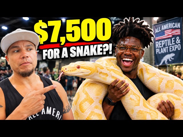 I Asked HUNDREDS of strangers what they bought at the reptile show.. THESE are my favorites