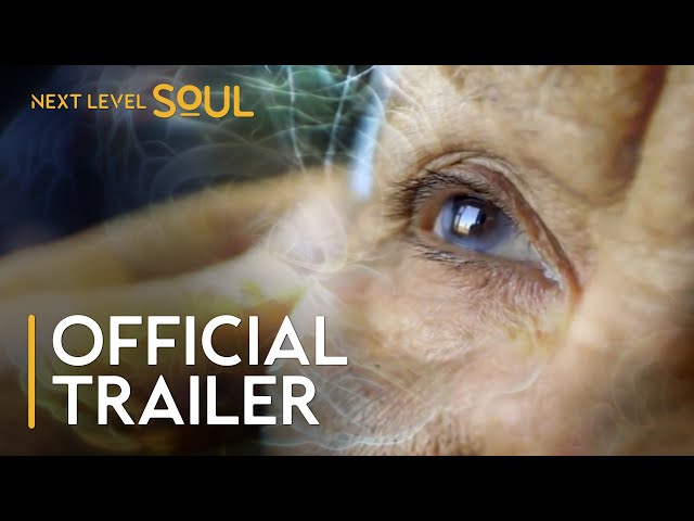 Alive Inside | Official Trailer | Next Level Soul