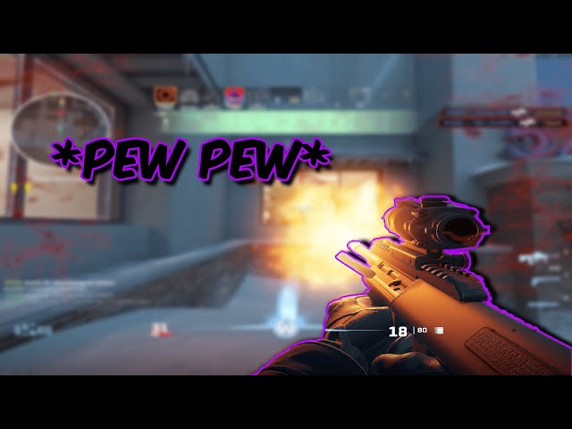 AUG GO PEW PEW - COUNTER STRIKE 2